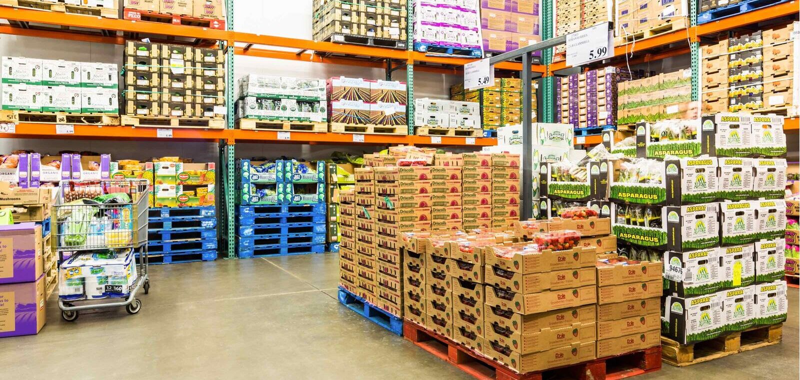 Corporate Involvement