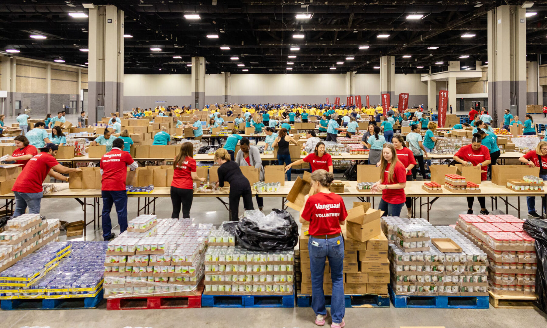 Volunteeropportunities